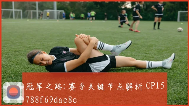 冠军之路:赛季关键节点解析 CP15788f69dae8e