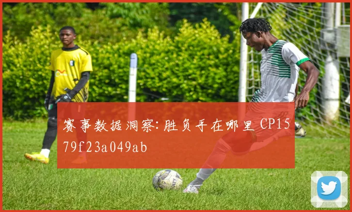 赛事数据洞察:胜负手在哪里 CP1579f23a049ab